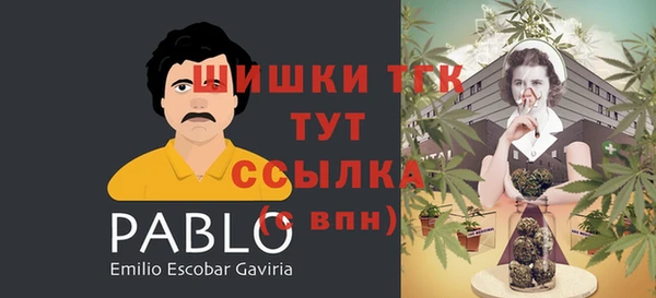 СК Абдулино