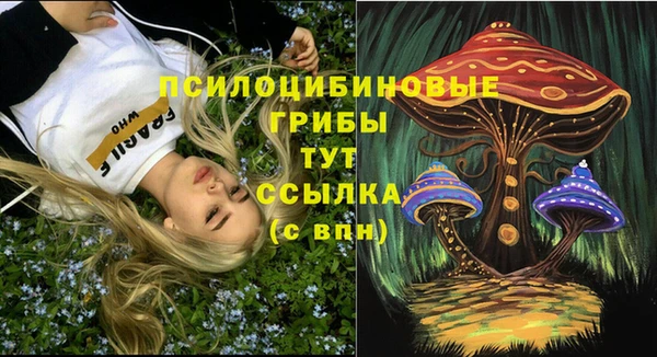 СК Абдулино
