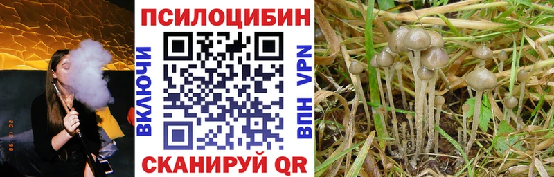 Псилоцибиновые грибы мухоморы  blacksprut   Агидель  что такое наркотик 